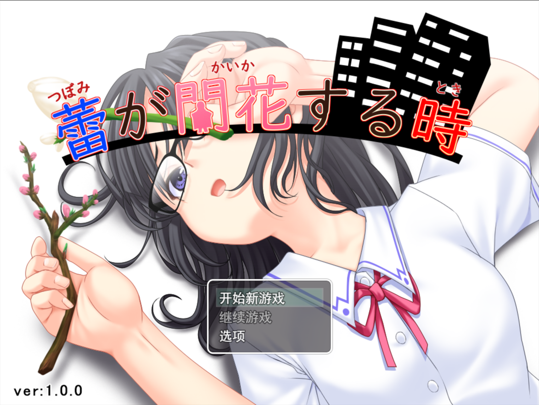 增添AZ[互动RPG/堕落/欲望] 花蕾绽放之时 蕾が開花する時  内嵌AI汉化版+作弊码 [PC+安卓3.50G]