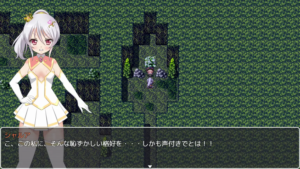 新汉化[日式RPG] 淫乱 姬鬼神莎露亚 淫乱 姫鬼神シャルア AI汉化版 [650M]