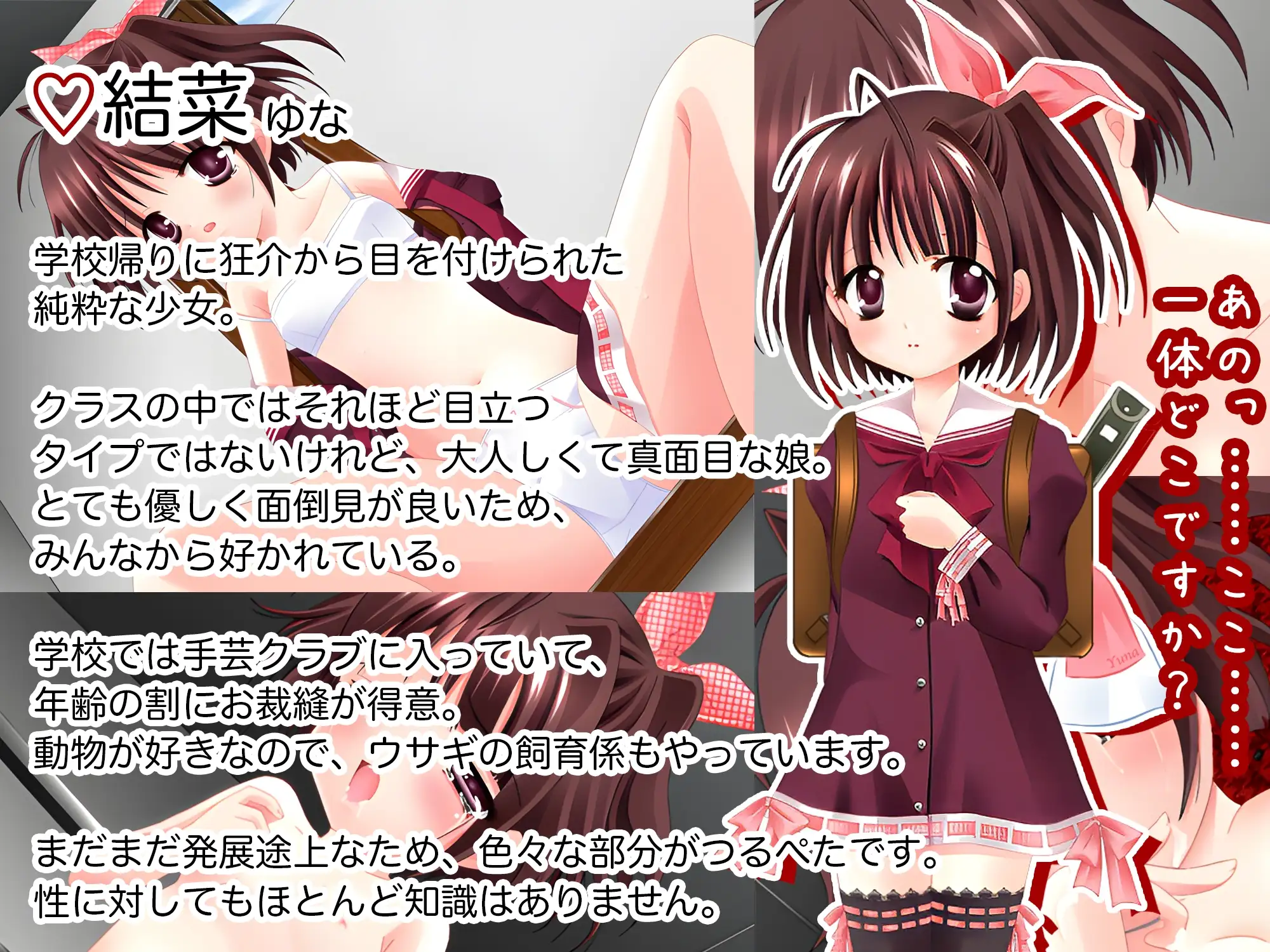新作[日式RPG/萝莉/背德] 普罗拉奇主义者狂介R〜蕾悦地下室七日间〜 プロラチリスト狂介R〜蕾悦地下室七日間〜 AI汉化版 [1.70G]