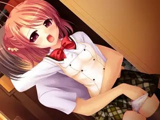 新汉化[日式ADV] 病娇双胞胎姐妹 ～病态、怀孕、被爱…～ ヤンもえ双子姉妹 ～病んで孕んで愛されて…～ AI汉化版+全CG存档 [590M]