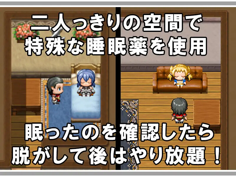 新汉化【回合RPG/睡奸/迷奸/动态】公会沉睡公主（ギルドの眠り姫） v1.0 内嵌AI汉化版 [ PC+安卓1.30G]