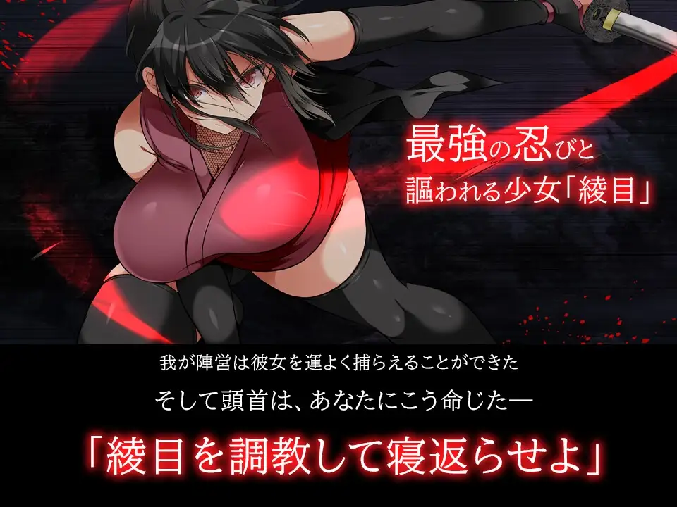 步兵版[日式SLG/动态] 忍堕－女忍调教 STEAM官方中文版 全CV [11.30G]
