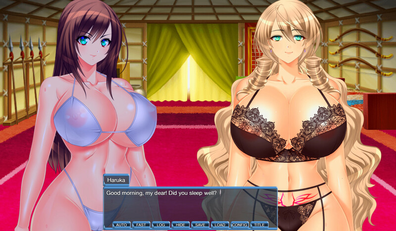 [日式RPG/官中] 地牢女英雄 Climax Heroines Build.12791812 STEAM官中版 正式版+DLC [500M]