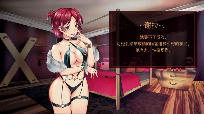 [日式SLG/官中] 天堂喜悦 Paradise Delight V2.0 STEAM官中步兵版+全DLC [800M]