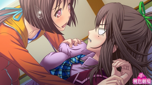 新汉化[日式ADV] 永远！通过穿女装让我怀孕 ずっと！ 女装で孕ませてっ AI汉化版+全CG存档 [910M]