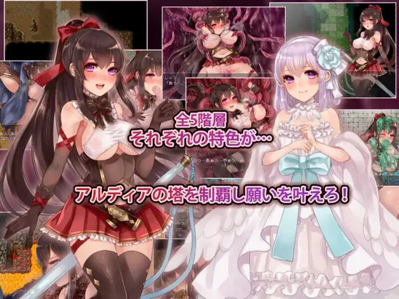 【精品RPG/战斗H】阿尔迪亚之塔（アルディアの塔） V1.03 STEAM官方中文版 [1.20G]