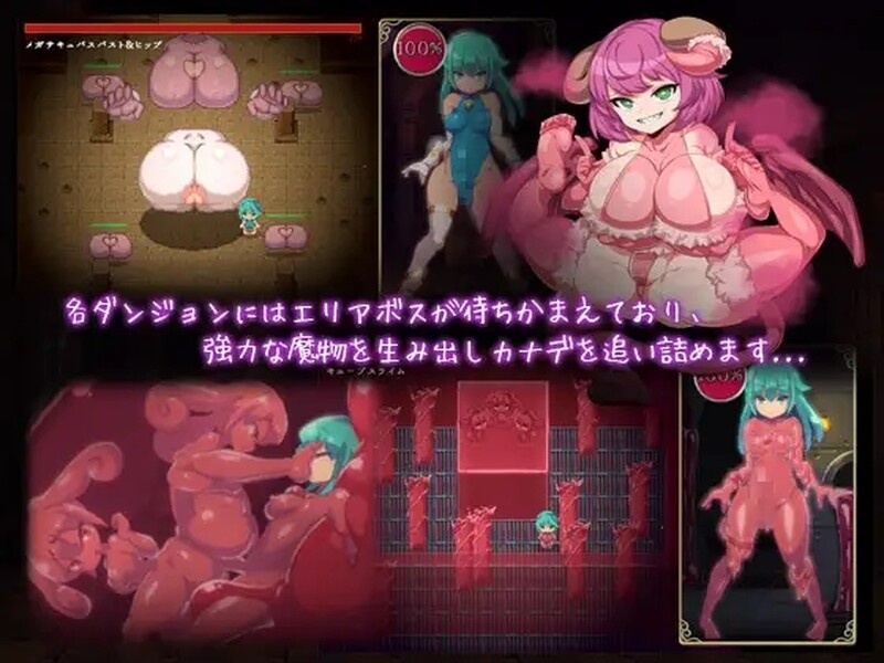 [日式ACT] 魔导士小奏的扶她地牢探险 魔導士カナデのふたなりダンジョンQuest Build.10760890 STEAM官中版 [1.0G]