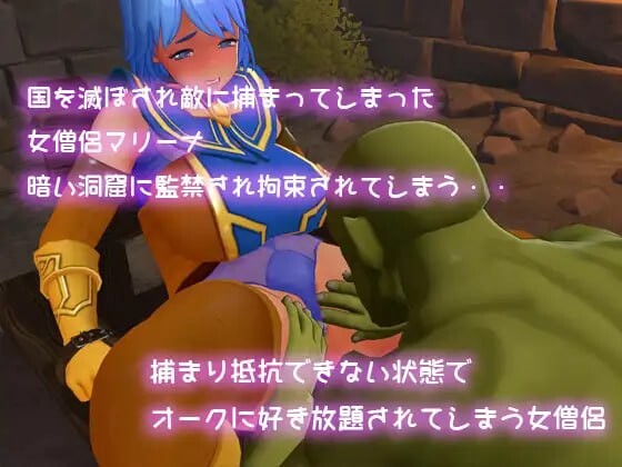 新作[互动SLG/异世界转生] 异世界勇者与女僧侣的平行人生 異世界勇者と女僧侶のパラレルライフ PC+VR 正式版 [1.80G]