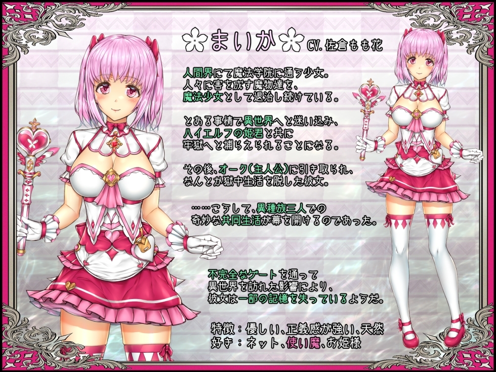 新汉化[日式SLG/动态] 少女异种间狱～魔法少女&精灵公主、与兽人一起度过的异世界性生活～ 少女異種間獄 ～魔法少女&エルフ姫、オークと過ごす異世界性活～ AI汉化版+全CG存档 [3.60G]