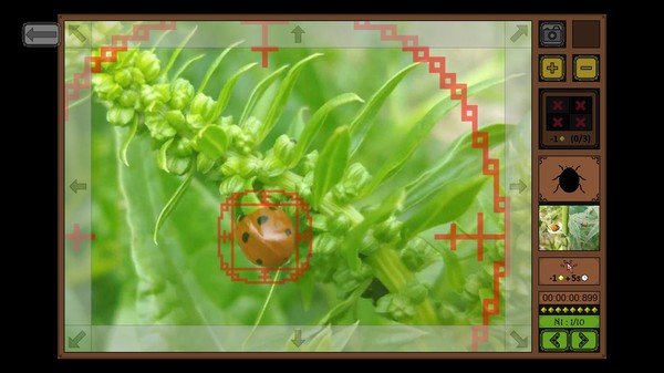 昆虫探寻者/Insect Seeker