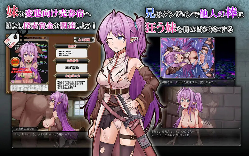DL10月新作【回合RPG/幻想/战斗H/被NTR】发情精灵妹妹剑士塞莉卡(ネトラレ発情エルフ妹剣士セリカ)V1.0 AI汉化【1.50G】