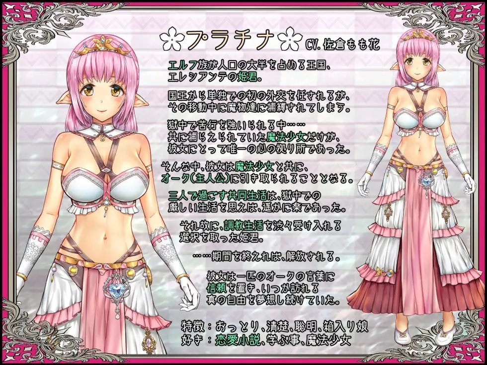 新汉化[日式SLG/动态] 少女异种间狱～魔法少女&精灵公主、与兽人一起度过的异世界性生活～ 少女異種間獄 ～魔法少女&エルフ姫、オークと過ごす異世界性活～ AI汉化版+全CG存档 [3.60G]
