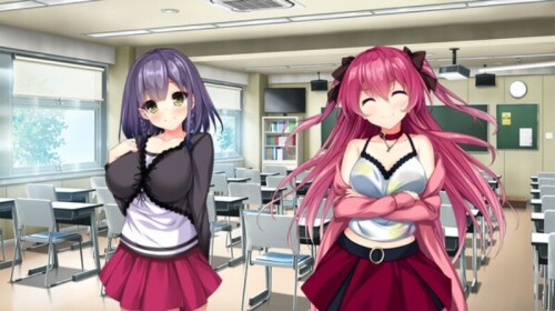 新作[日式ADV/后宫/动态] 真实动漫情境体验！DT アルエロゲシチュエーション！DT Ver1.0.0 STEAM官方中文步兵版 [6.50G]