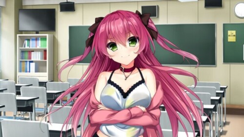 新作[日式ADV/后宫/动态] 真实动漫情境体验！DT アルエロゲシチュエーション！DT Ver1.0.0 STEAM官方中文步兵版 [6.50G]