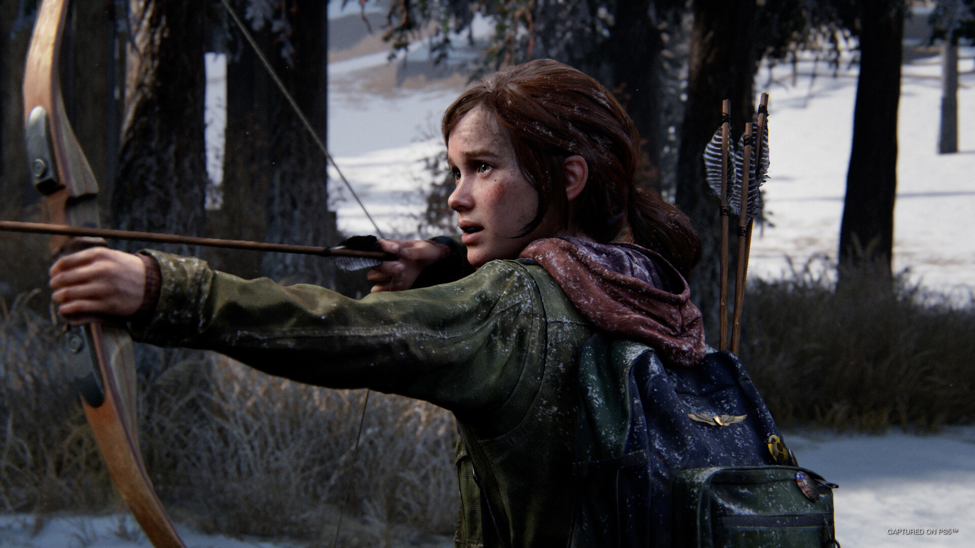 最后生还者第一部/美末1数字豪华版/The Last of Us™ Part I(更新 v1.1.3.0 )