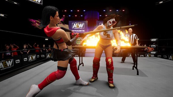 全精英摔角:永远的战斗/AEW: Fight Forever(v1.0.5 单机同屏多人)