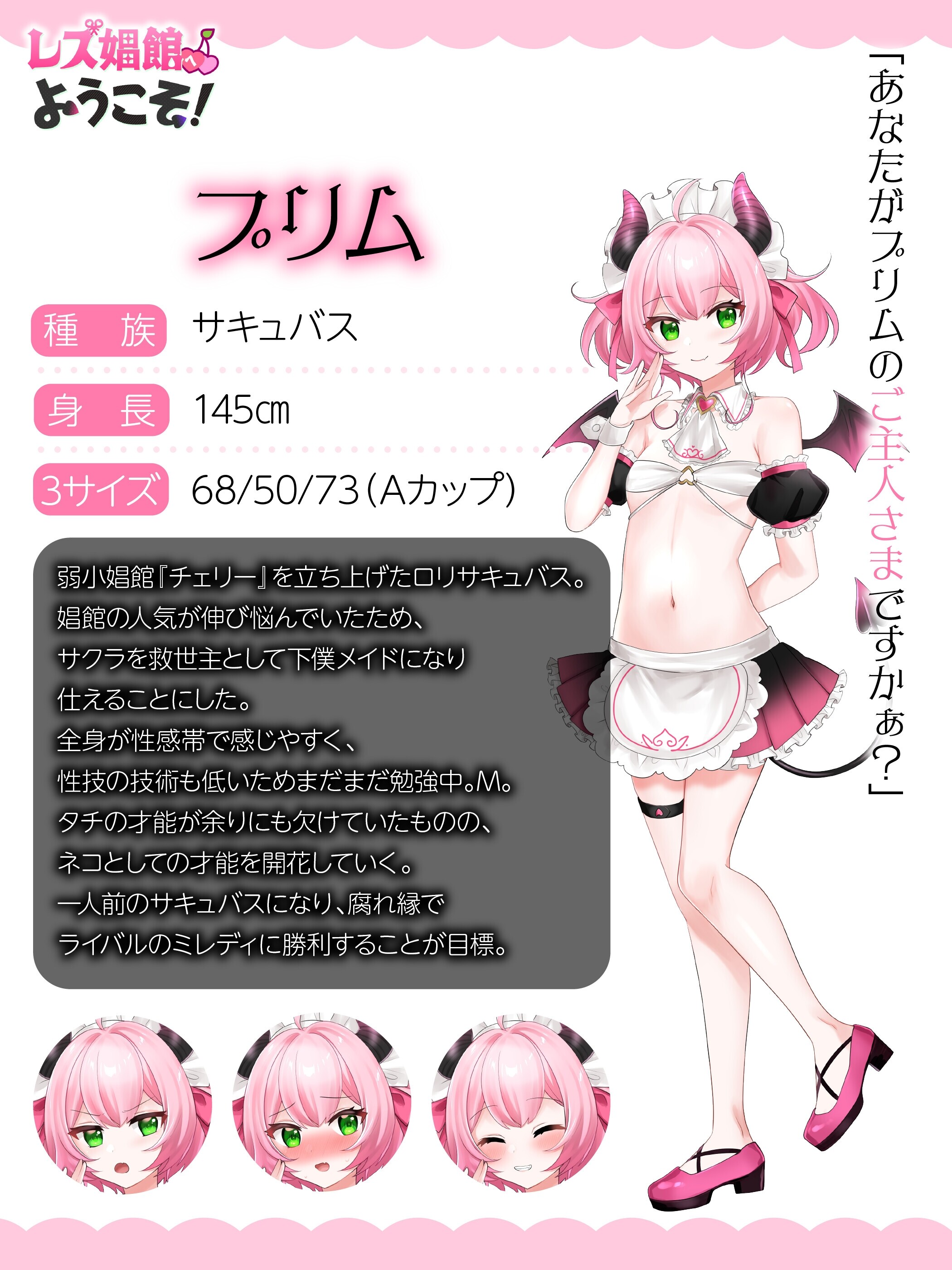 新作[拨作ADV/魔物娘/后宫] 欢迎光临女同性恋妓院！ レズ娼館へようこそ！AI汉化版+全回想存档 [1.80G]
