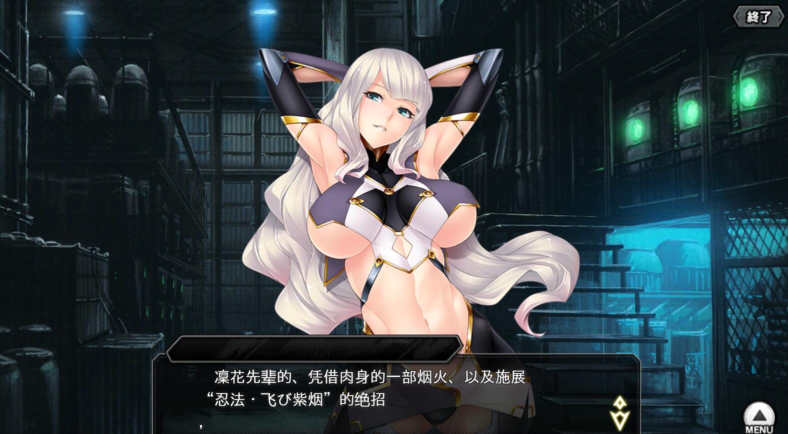 破解版[亚洲风养成HTLM/动态]  对魔忍Taimanin RPGX v2025.05 全绅士整合版 浏览器转中文 [25.70G]