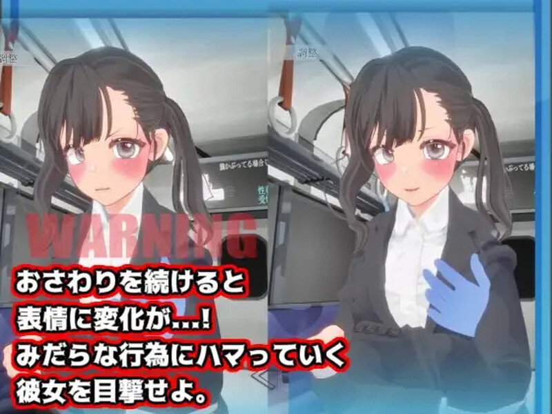 DL11月新作【互动SLG/3D作品/全动态】触摸地铁,摇摇晃晃(おさわりメトロでトロットロ)V1.0 原版生肉【600MB】