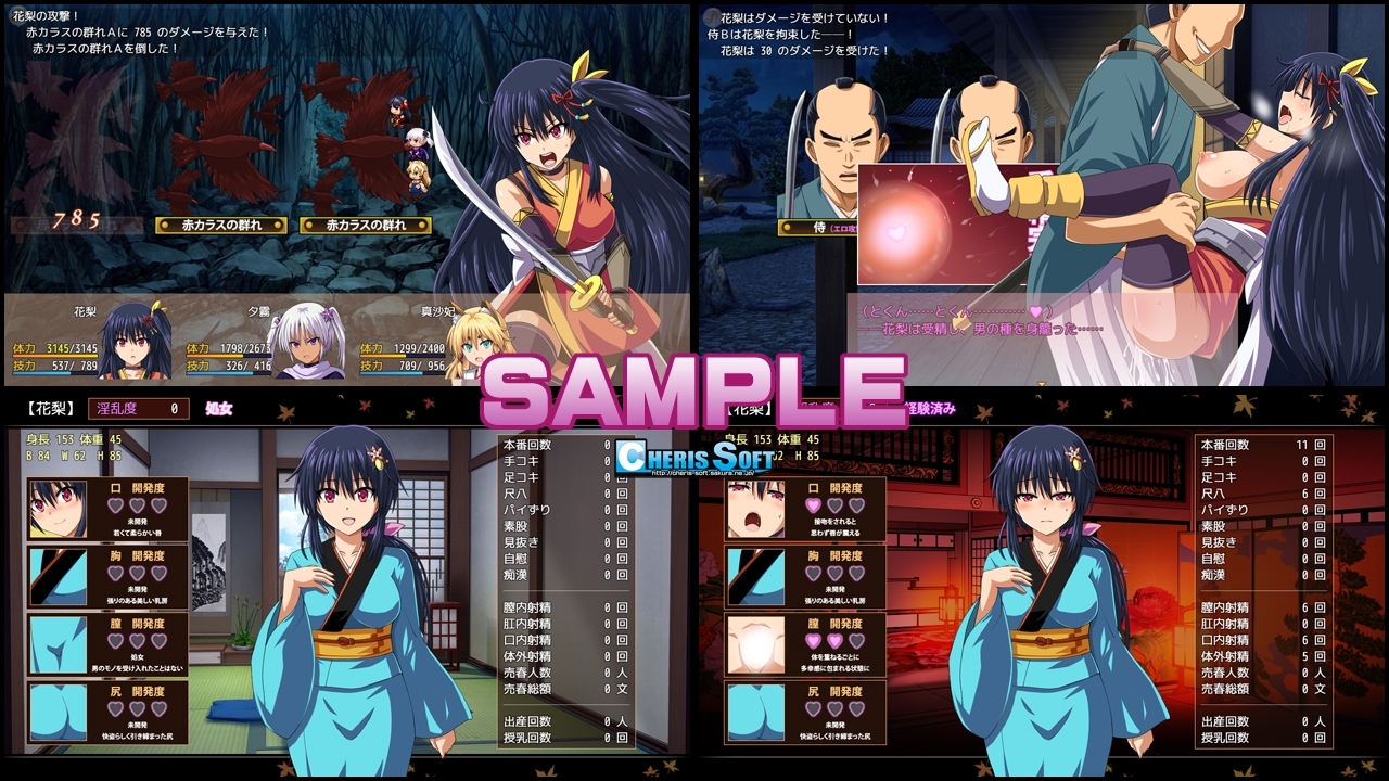 新汉化[回合RPG/战斗H] 女忍花梨 くノ一花梨 V1.2 汉化版 [1.80G]