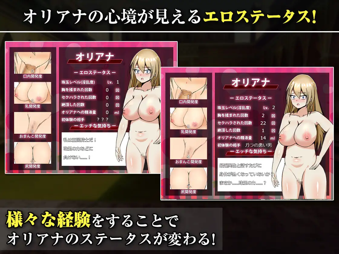 新作[探索RPG/巨乳/爆乳] 王国的勇骑士奥莉安娜 王国の勇騎士オリアナ AI汉化版+自带全回想 [840M]
