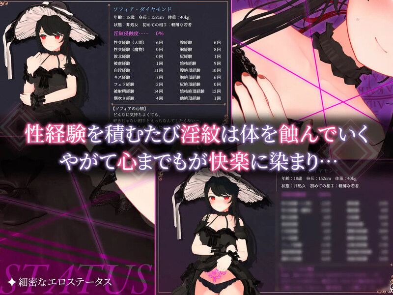 [日式RPG/3D/异种X] 索菲娅与巴比伦的淫纹～孤高天才魔导士的堕落～ ソフィアとバビロンの淫紋~孤高なる天才魔導士の堕落~ AI汉化版+全回想存档 [1.50G]